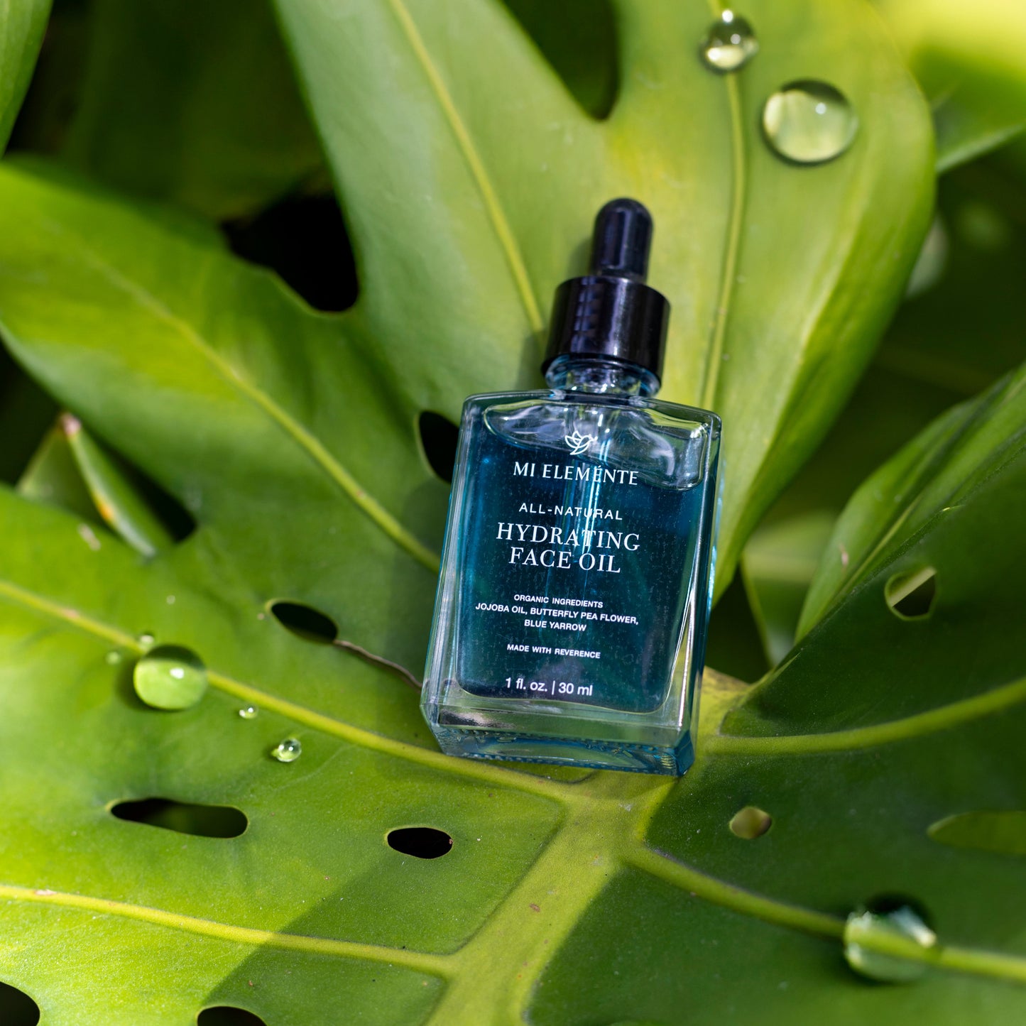 Blue bottle of face oil on a large green leaf with water droplets.